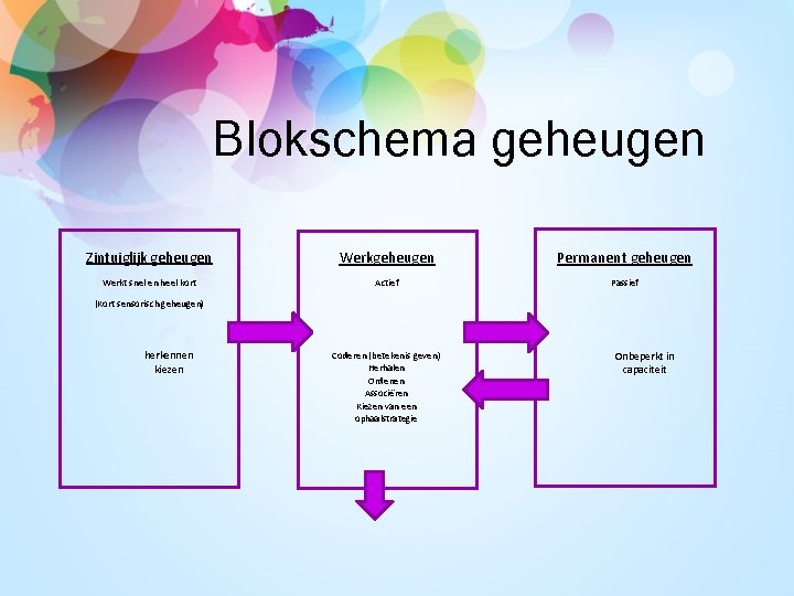 Blokschema geheugen Zintuiglijk geheugen Werkgeheugen Permanent geheugen Werkt snel en heel kort Actief Passief