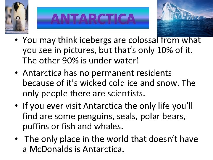  • You may think icebergs are colossal from what you see in pictures,