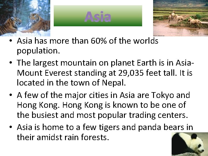 Asia • Asia has more than 60% of the worlds population. • The largest