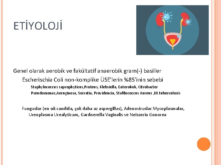 ETİYOLOJİ Genel olarak aerobik ve fakültatif anaerobik gram(-) basiller Escherischia Coli non-komplike ÜSE’lerin %85’inin