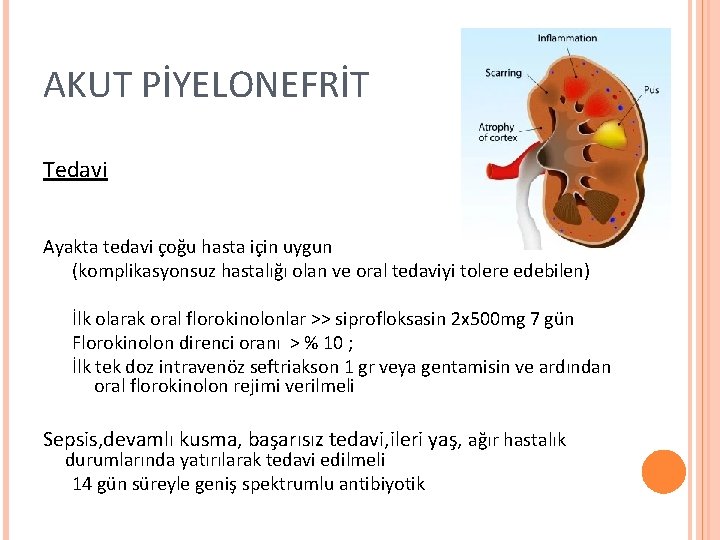 AKUT PİYELONEFRİT Tedavi Ayakta tedavi çoğu hasta için uygun (komplikasyonsuz hastalığı olan ve oral