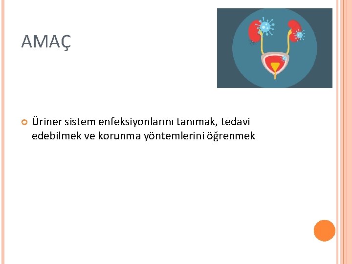 AMAÇ Üriner sistem enfeksiyonlarını tanımak, tedavi edebilmek ve korunma yöntemlerini öğrenmek 