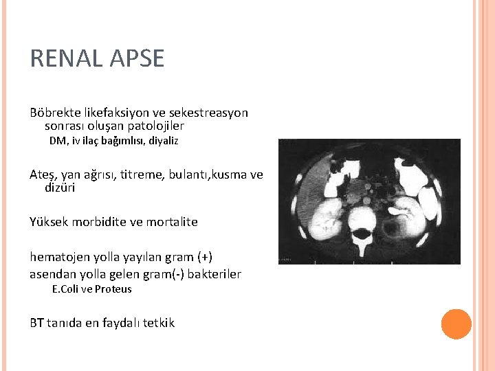 RENAL APSE Böbrekte likefaksiyon ve sekestreasyon sonrası oluşan patolojiler DM, iv ilaç bağımlısı, diyaliz