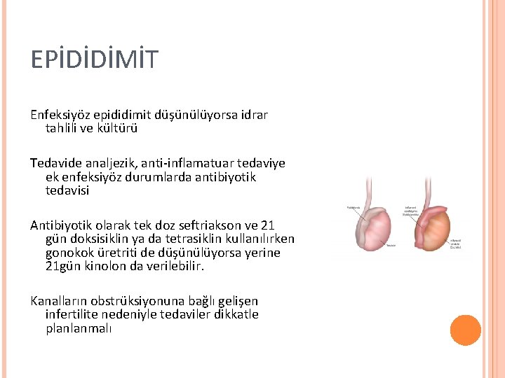 EPİDİDİMİT Enfeksiyöz epididimit düşünülüyorsa idrar tahlili ve kültürü Tedavide analjezik, anti-inflamatuar tedaviye ek enfeksiyöz