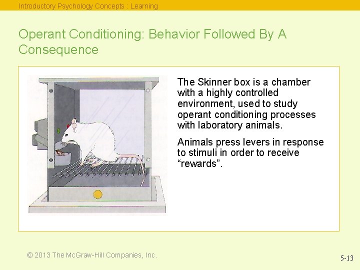 Introductory Psychology Concepts : Learning Operant Conditioning: Behavior Followed By A Consequence The Skinner