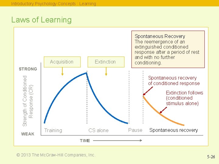 Introductory Psychology Concepts : Learning Laws of Learning Acquisition Extinction Spontaneous Recovery The reemergence