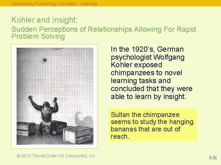 Introductory Psychology Concepts : Learning Kohler and Insight: Sudden Perceptions of Relationships Allowing For