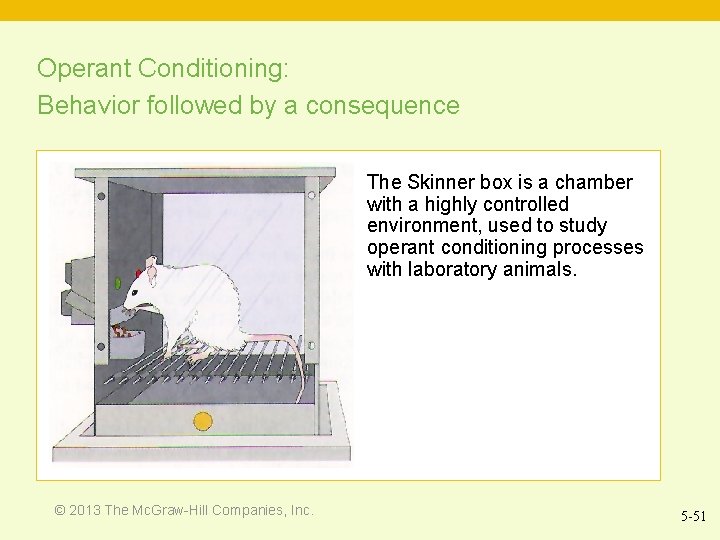 Operant Conditioning: Behavior followed by a consequence The Skinner box is a chamber with