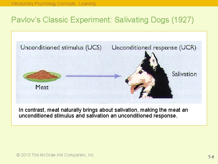 Introductory Psychology Concepts : Learning Pavlov’s Classic Experiment: Salivating Dogs (1927) In contrast, meat