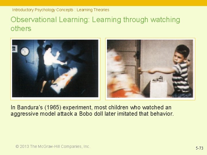 Introductory Psychology Concepts : Learning Theories Observational Learning: Learning through watching others In Bandura’s