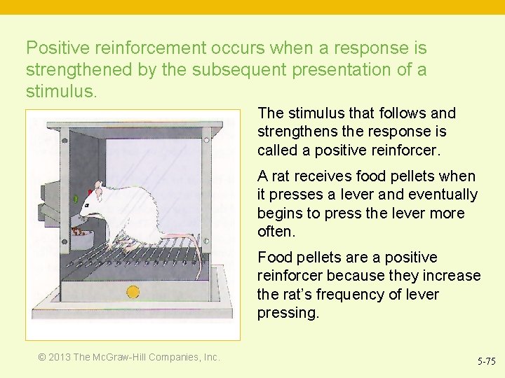 Positive reinforcement occurs when a response is strengthened by the subsequent presentation of a