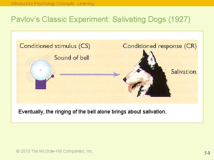 Introductory Psychology Concepts : Learning Pavlov’s Classic Experiment: Salivating Dogs (1927) Eventually, the ringing