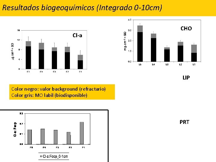 Resultados biogeoquímicos (Integrado 0 -10 cm) Cl-a CHO LIP Color negro: valor background (refractario)