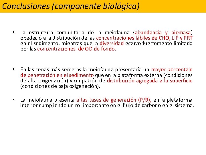 Conclusiones (componente biológica) • La estructura comunitaria de la meiofauna (abundancia y biomasa) obedeció