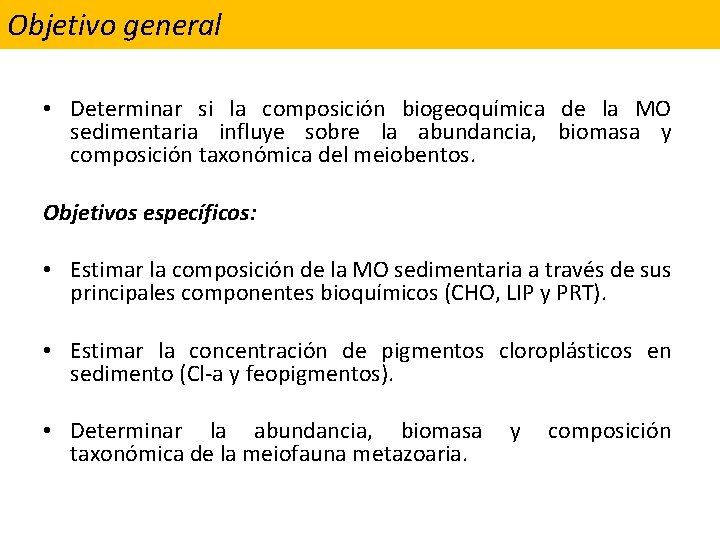 Objetivo general • Determinar si la composición biogeoquímica de la MO sedimentaria influye sobre