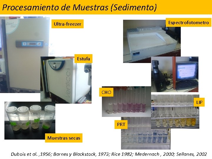 Procesamiento de Muestras (Sedimento) Espectrofotometro Ultra-freezer Estufa CHO LIP PRT Muestras secas Dubois et