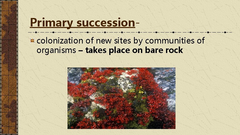 Primary successioncolonization of new sites by communities of organisms – takes place on bare