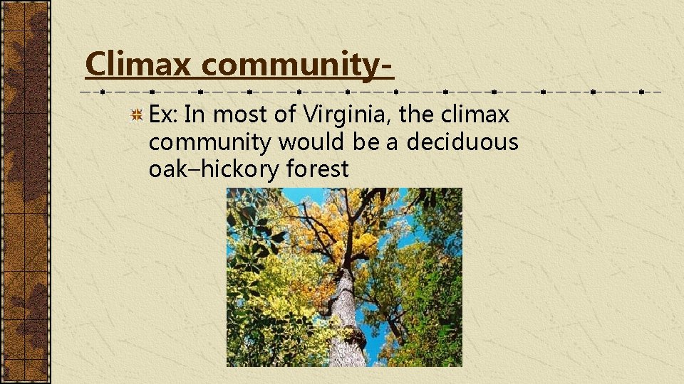 Climax community. Ex: In most of Virginia, the climax community would be a deciduous