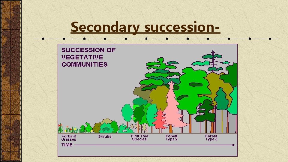 Secondary succession- 