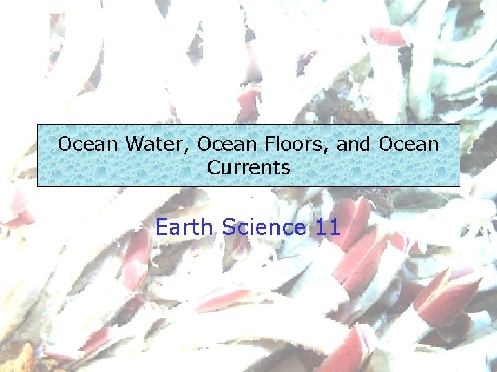 Ocean Water, Ocean Floors, and Ocean Currents Earth Science 11 