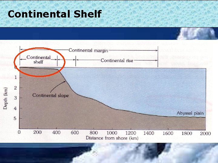 Continental Shelf • Is a gently sloping, submerged extension of the continents • Can