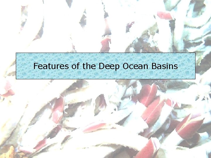 Features of the Deep Ocean Basins 