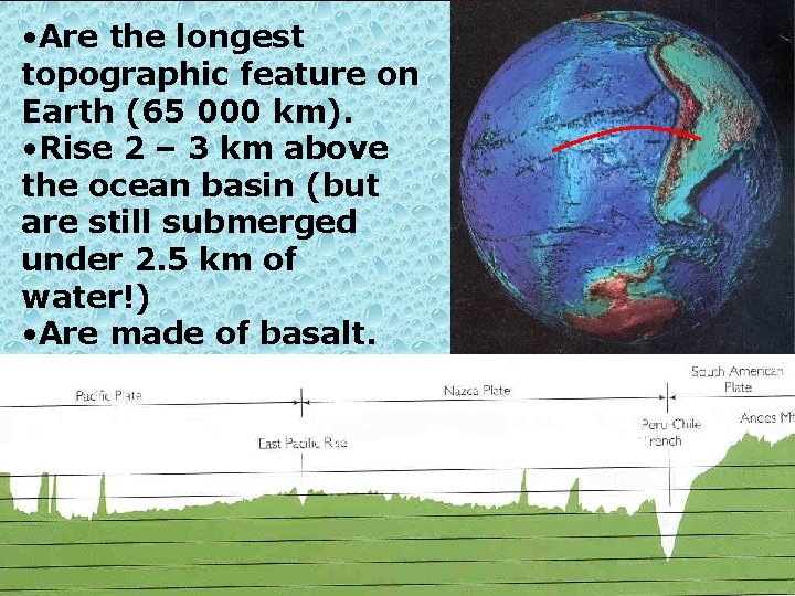  • Are the longest topographic feature on Earth (65 000 km). • Rise