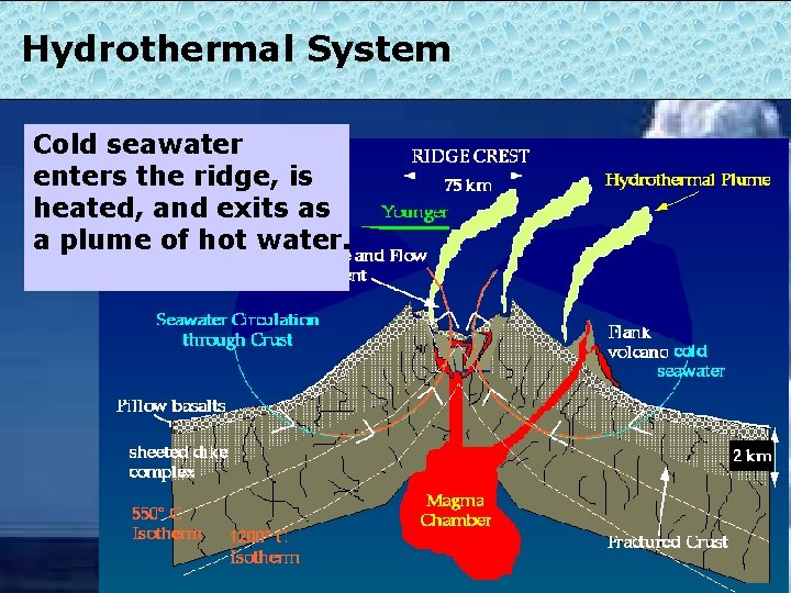 Hydrothermal System Cold seawater enters the ridge, is heated, and exits as a plume