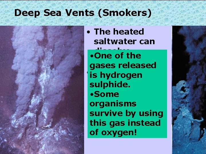 Deep Sea Vents (Smokers) • The heated saltwater can dissolve • One of the