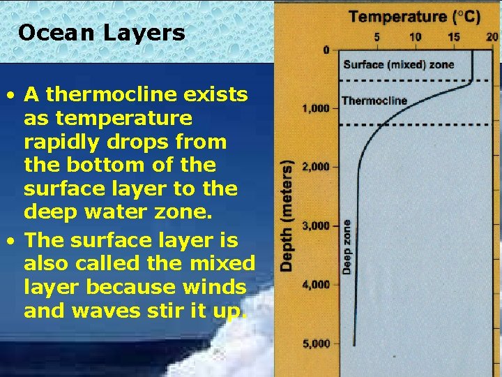 Ocean Layers • A thermocline exists as temperature rapidly drops from the bottom of