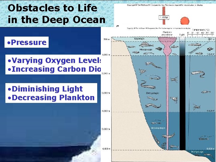 Obstacles to Life in the Deep Ocean • Pressure • Varying Oxygen Levels •