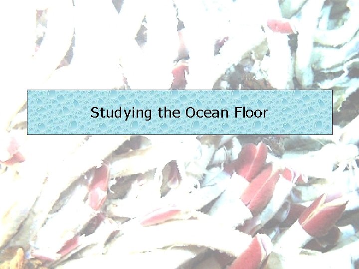 Studying the Ocean Floor 