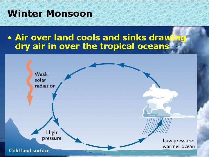 Winter Monsoon • Air over land cools and sinks drawing dry air in over