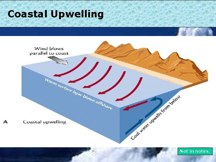 Coastal Upwelling Not in notes. 