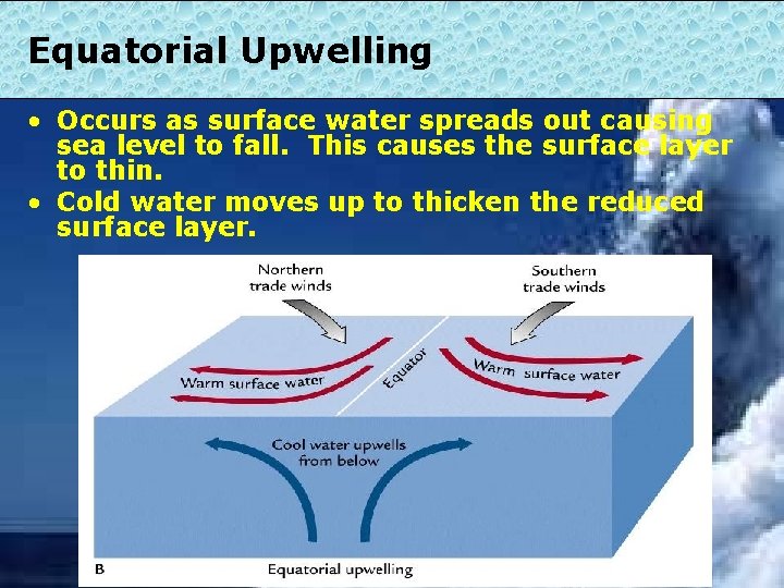Equatorial Upwelling • Occurs as surface water spreads out causing sea level to fall.