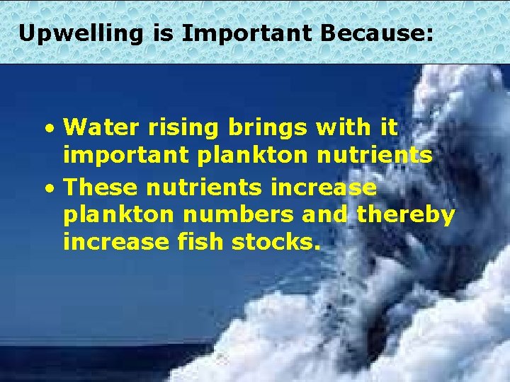Upwelling is Important Because: • Water rising brings with it important plankton nutrients •