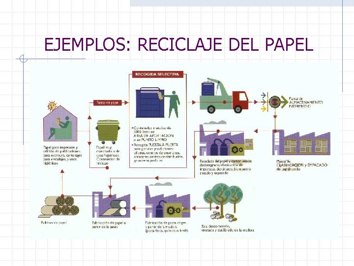 EJEMPLOS: RECICLAJE DEL PAPEL 