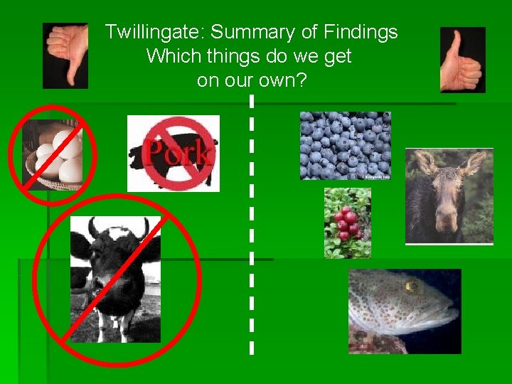 Twillingate: Summary of Findings Which things do we get on our own? 