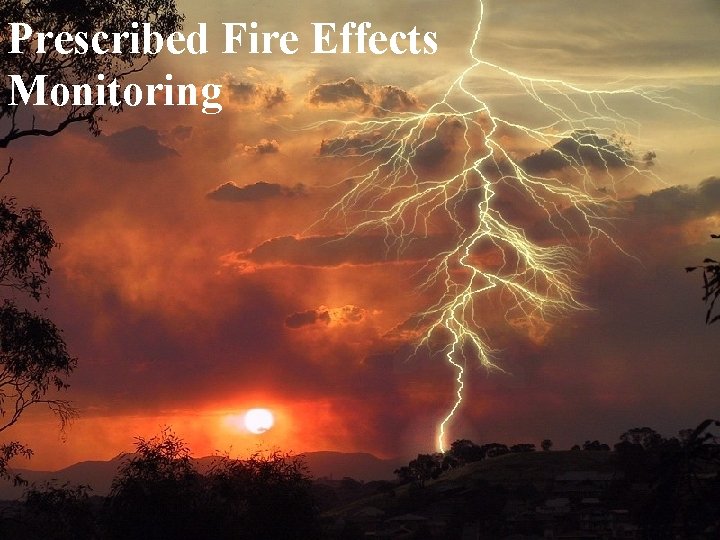 Prescribed Fire Effects Monitoring 