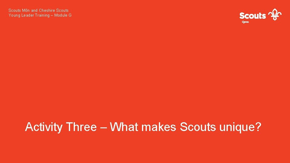 Scouts Môn and Cheshire Scouts Young Leader Training – Module G Cymru Activity Three