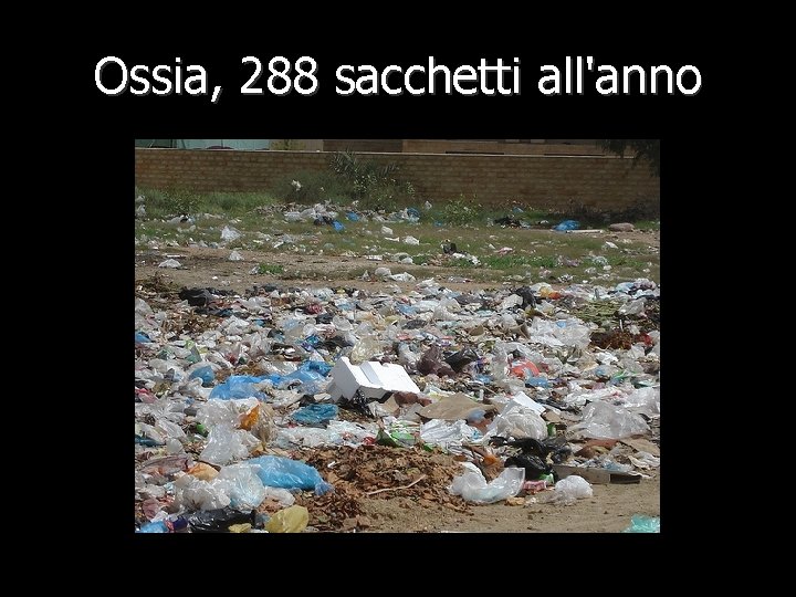 Ossia, 288 sacchetti all'anno 