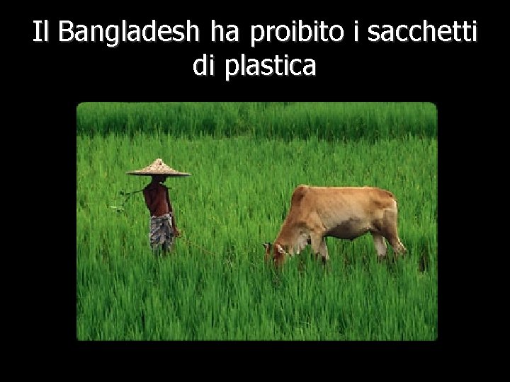 Il Bangladesh ha proibito i sacchetti di plastica 