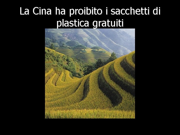 La Cina ha proibito i sacchetti di plastica gratuiti 