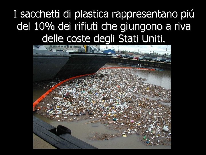 I sacchetti di plastica rappresentano piú del 10% dei rifiuti che giungono a riva