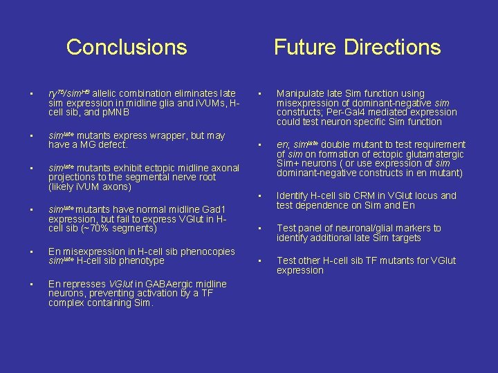 Conclusions • ry 75/sim. H 9 allelic combination eliminates late sim expression in midline