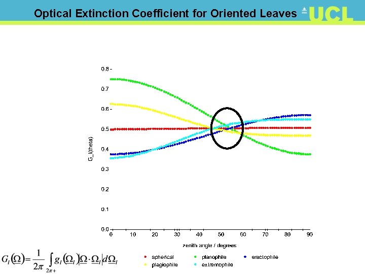 Optical Extinction Coefficient for Oriented Leaves 