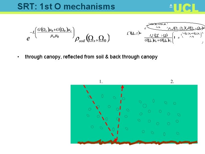 SRT: 1 st O mechanisms • through canopy, reflected from soil & back through