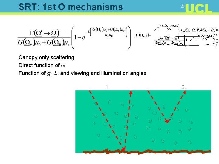 SRT: 1 st O mechanisms Canopy only scattering Direct function of w Function of