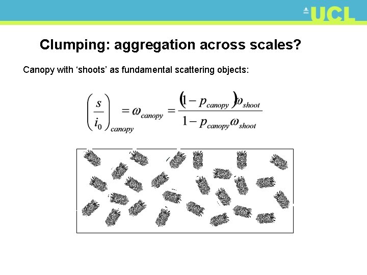 Clumping: aggregation across scales? Canopy with ‘shoots’ as fundamental scattering objects: 