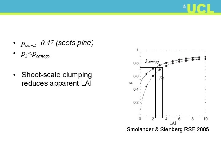 • pshoot=0. 47 (scots pine) • p 2<pcanopy • Shoot-scale clumping reduces apparent